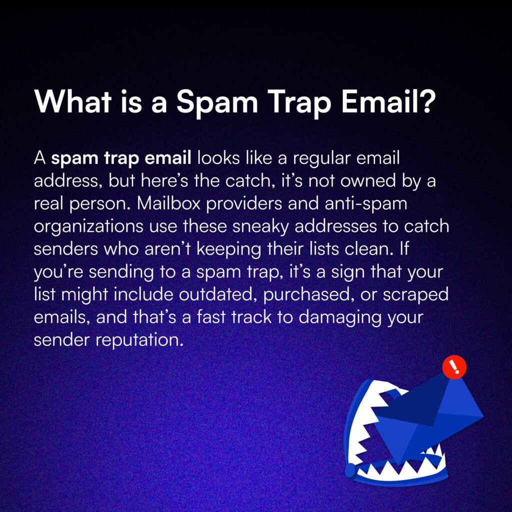 What is a Spam Trap Email?